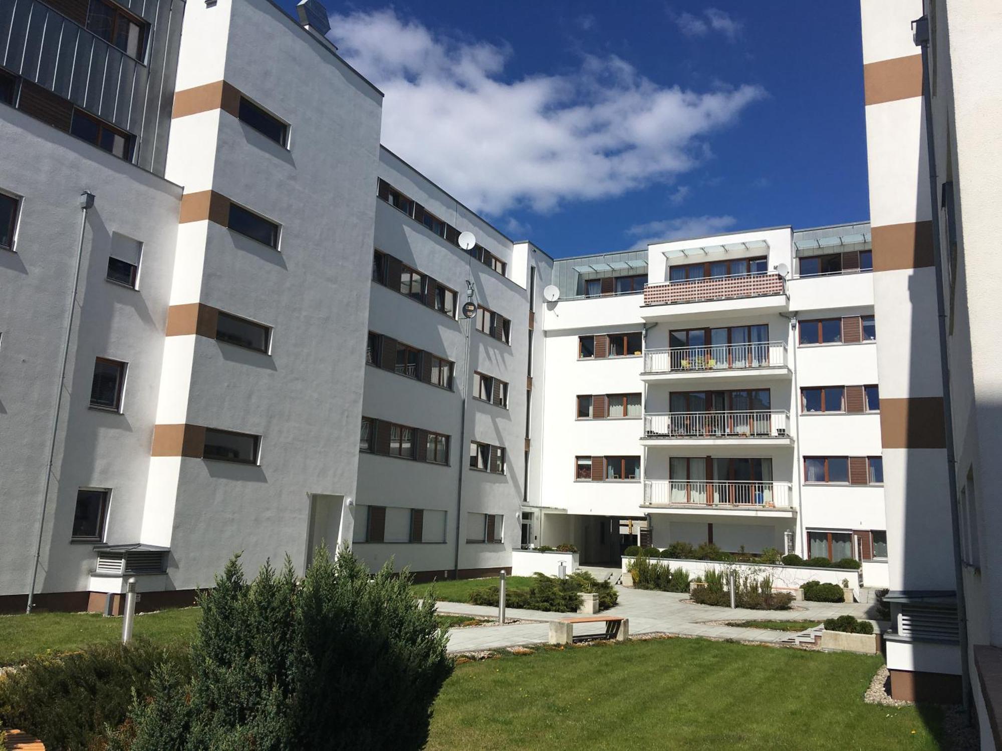 Platan - Visitopl *