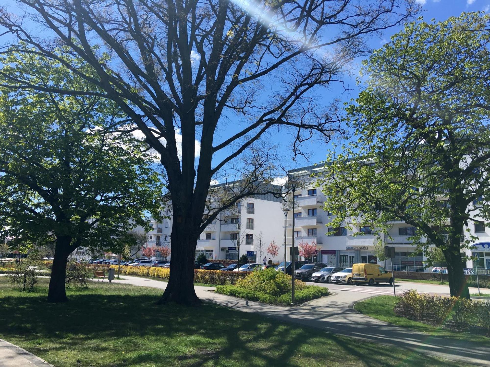 Platan - Visitopl Apartment
